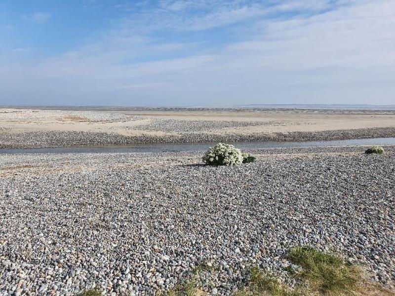 Gite Baie De Somme Cayeux-sur-Mer Luaran gambar
